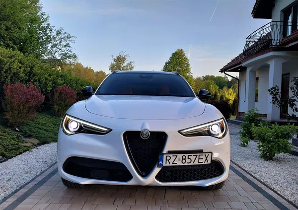 Ogłoszenie Alfa Romeo Stelvio cena 189000 przebieg: 11000, rok produkcji 2023 z Rzeszów na PoSamochod